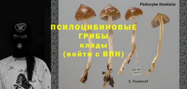 ALPHA PVP Бугульма