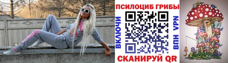 Галлюциногенные грибы прущие грибы  наркота  Петропавловск-Камчатский 
