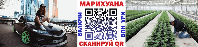 Бошки марихуана VHQ  купить закладку  Петропавловск-Камчатский 
